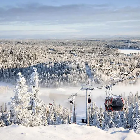 Rukavalley Unique47 In - Out * Ruka