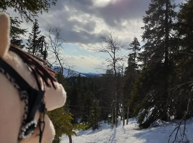 아파트 Rukavalley Unique47 In - Out *